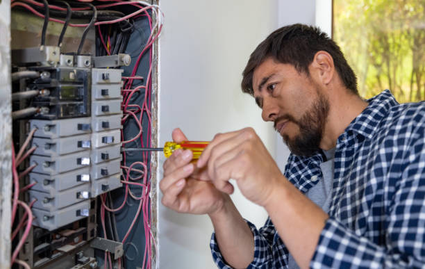 Best Best Electricians Near Me  in Shackle Island, TN